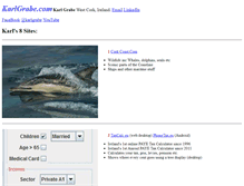 Tablet Screenshot of karlgrabe.com